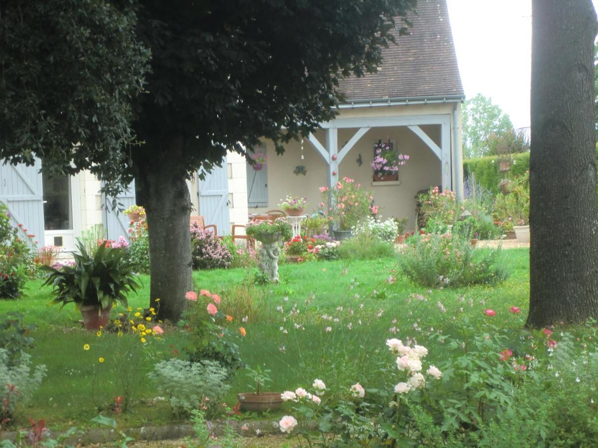 Chambre D'Hotes La Belle Saison Villedomer Buitenkant foto